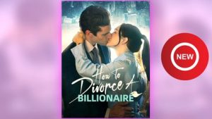 How to Divorce a Billionaire ⠀full