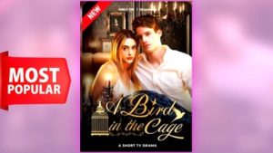 A Bird In The Cage ⠀full