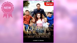 CEO, Your Wife Runs away with Your Six Heirs ⠀full